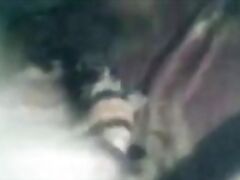 Bangla BF Suck Boobs and Fuck Girlfriend » Tamil MMS Sex Porn Clips